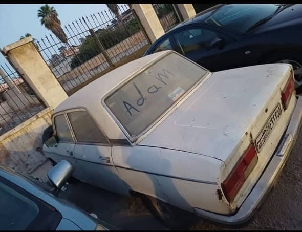 بيجو 304 1976 - صورة 3