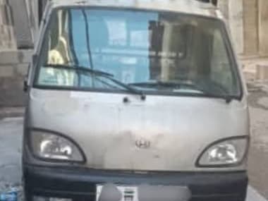 شانا قطة 2006
