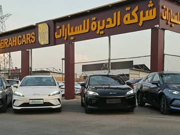 بي واي دي سيل 2025