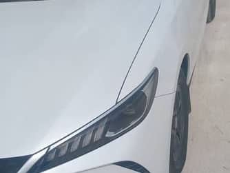 بي واي دي شن بلس 2025