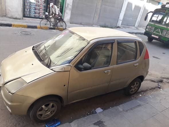 هافي لوبو 2005